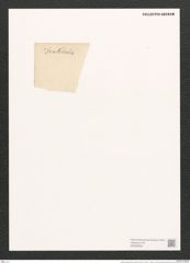 Donkinia angusta (Donk.) Ralfs (de-Toni-Nr.: Genus 17, Species 1148) Zeichnungen Sammlung Grunow (NHMW-BOT-W0369339)